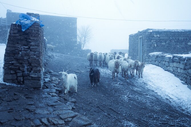 3-Day Hiking & Trekking Tour Remote Villages in Guba Azerbaijan - Griz to Galakhudat, With Gurgur Waterfall Along the Way