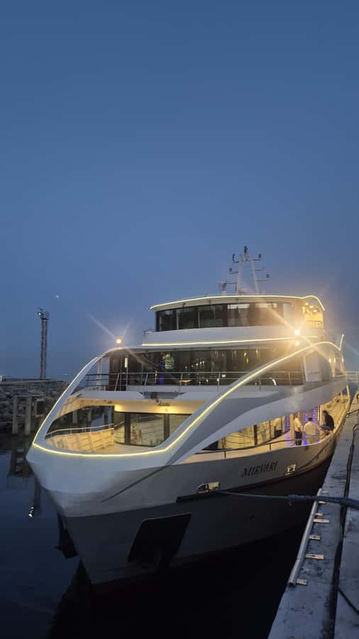 Baku: Caspian Sea Boat Tour with City Skyline Views - Who Will Enjoy This Cruise Most?