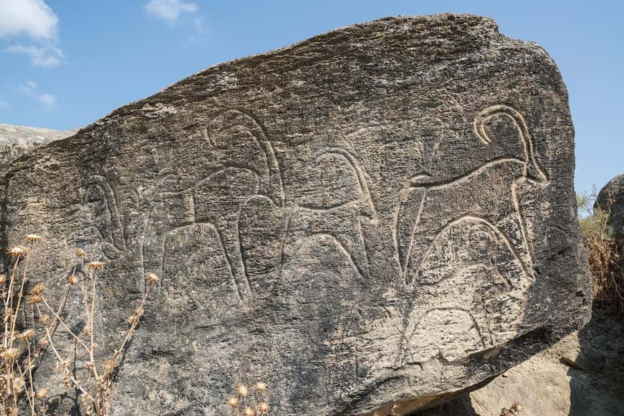 Baku: Gobustan, Mud Volcanoes & Absheron (Group or Private) - Bibiheybat, a quick start by the sea