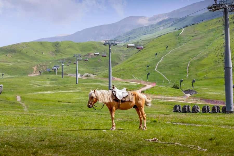 Baku: Guba, and Shahdag Adventure - Red Village offers a rare cultural encounter
