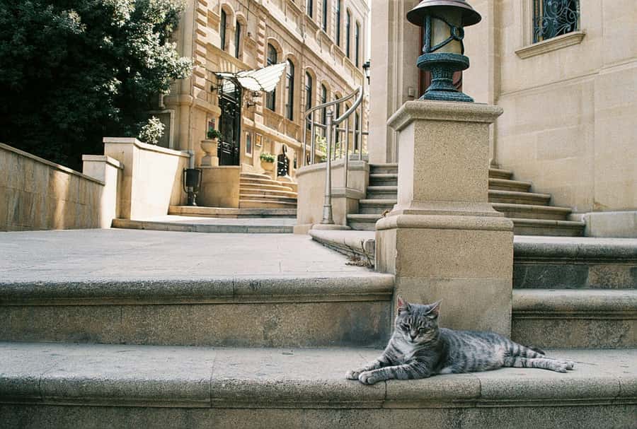 Baku Old City Wonders: A Walking Tour Through Time - Old City lanes, courtyards, and working Baku