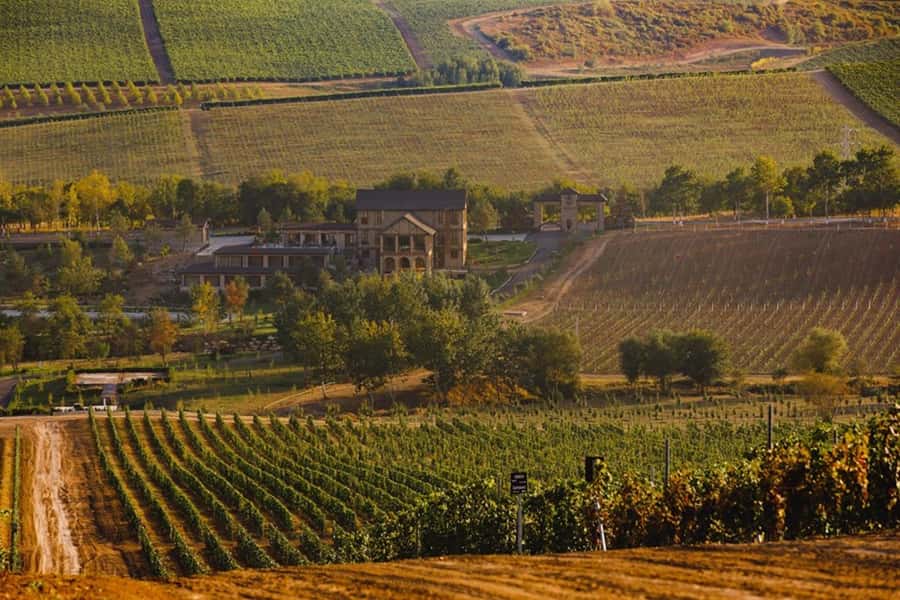 Baku: Organic Winery Tour in Shamakhi with Local Lunch - From Baku to Shamakhi by private vehicle