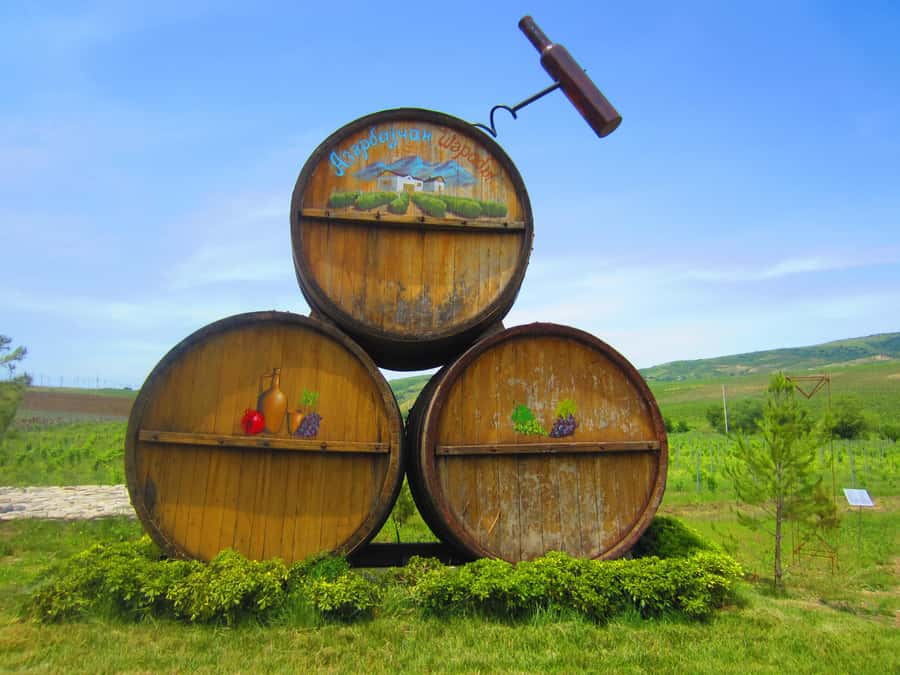 Baku: Organic Winery Tour in Shamakhi with Local Lunch - Tasting Shirvan wines with cheese