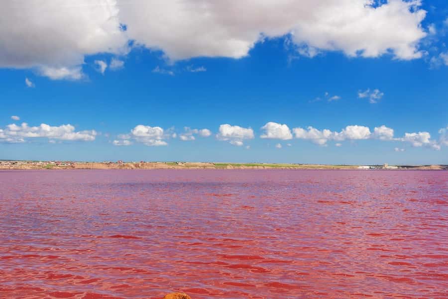 Baku: Pink Lake, Candy Cane & Beshbarmag Mountains - Leaving Baku by private van