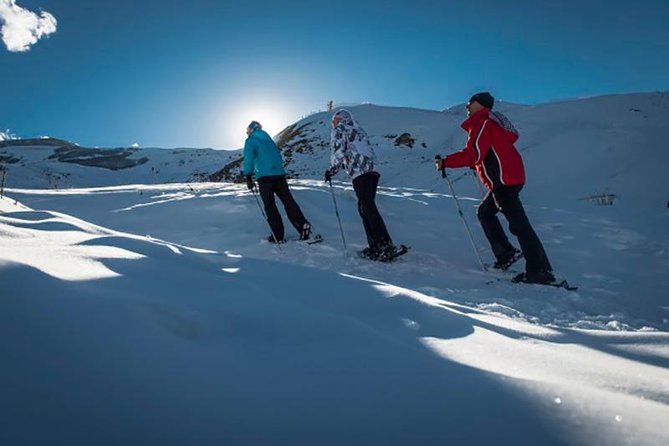 Day tour to Ski Resort to Shahdag - Private tour to Beautiful Nature - Key points to know before booking