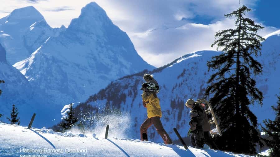From Baku: Candy Mountains and Shahdag Tour - Picking the right Shahdag activity