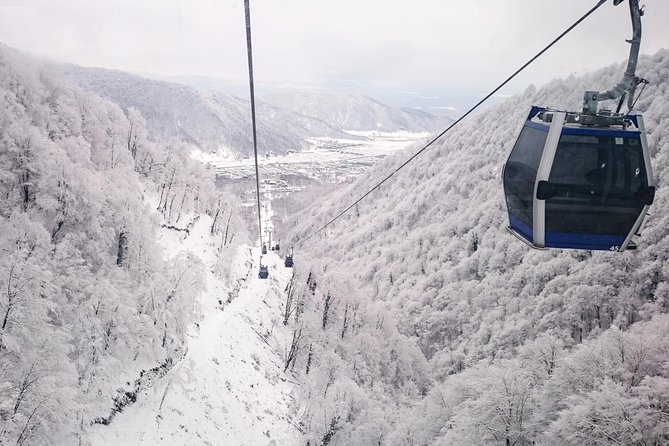 From Baku: Gabala Day Trip - Key points to know before booking