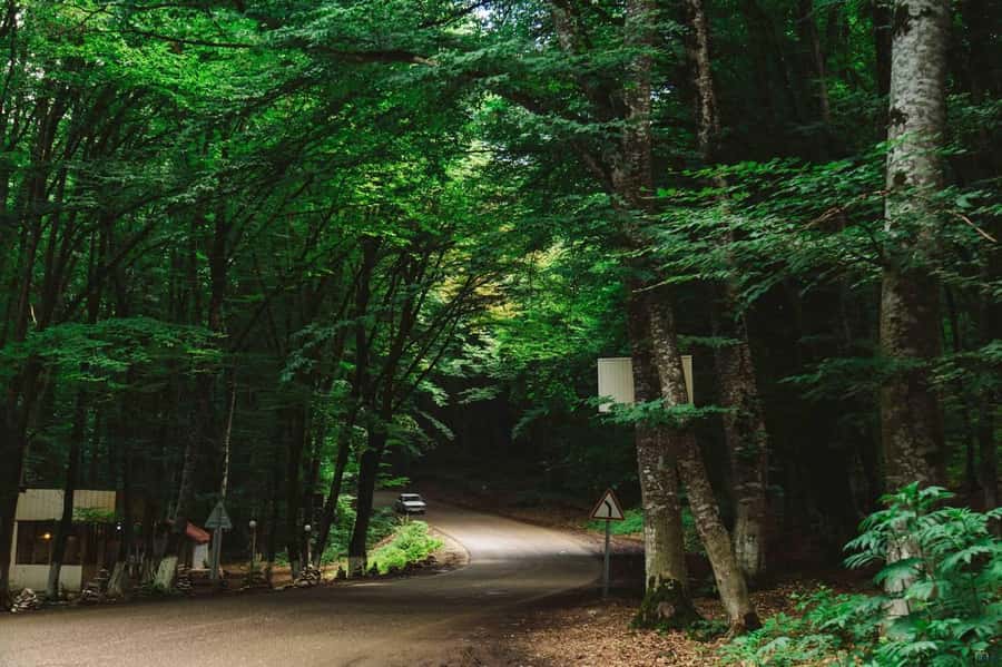From Baku: Guba and Khinaliq Trip with Homemade Lunch - Forest roads through Qechresh