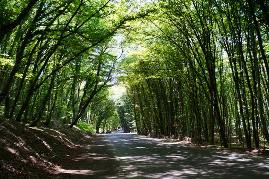 From Baku: Guba, Khinalug & Candy Mountains + Homemade Lunch - Qutab at Gachrash Forest