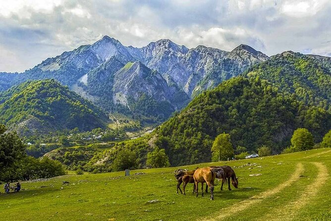 Full Day GABALA Tour with Mountains, Lakes and Waterfalls - The guides can shape the whole day