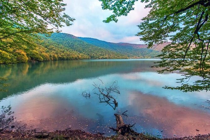 Gabala and Shamakhi Tour with Guide - Guides, drivers, and the human side of the tour