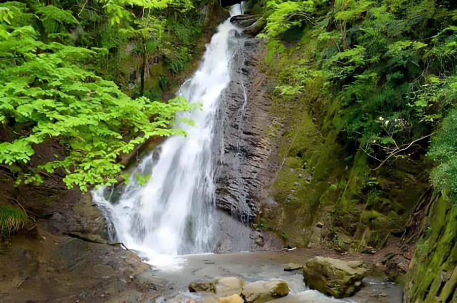 Gabala & Lavender Fields Group Guided tour - Reaching Gabala and the waterfall country