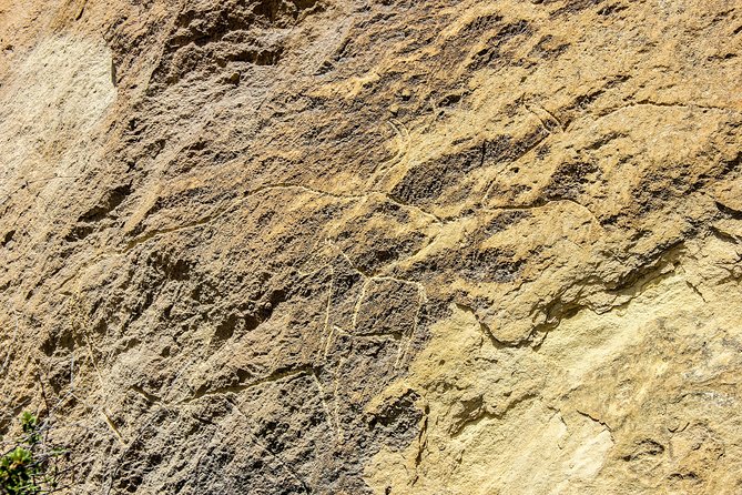 Gobustan and Mud volcanoe GROUP TOUR - Is $52 good value for this Baku excursion?
