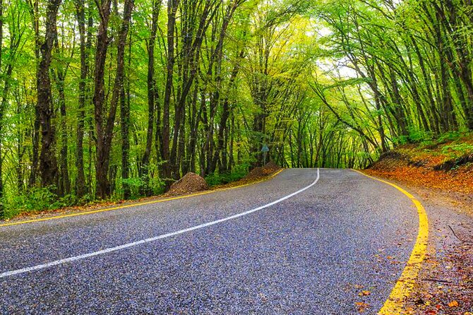 Guba Shahdag Azerbaijan Discover Nature’s Winter Wonderland - Gachresh Forest for lunch and breathing room