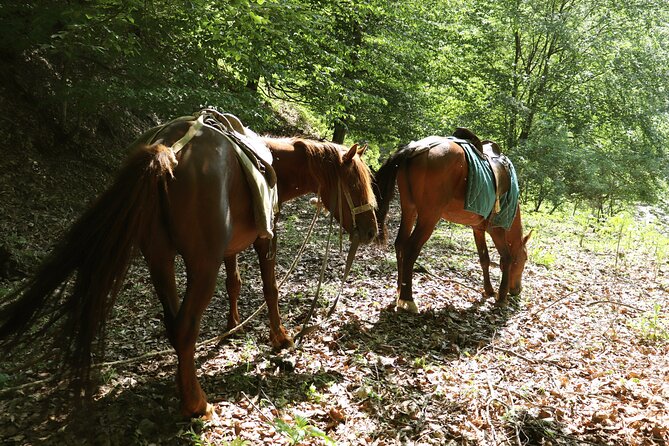 Horseback Riding in Azerbaijan - Leaving Baku for the Greater Caucasus