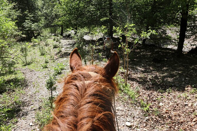 Horseback Riding in Azerbaijan - Is $229 a fair price?