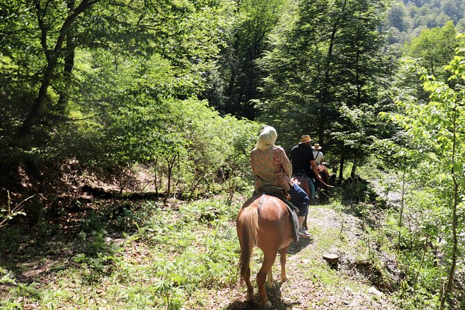 Horseback Riding in Azerbaijan - Who will enjoy this day most