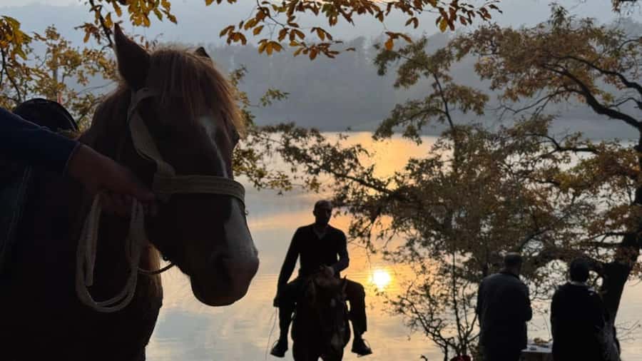 Longevity Secrets of Azerbaijan: Lankaran & Astara tour - Key points to know before you book
