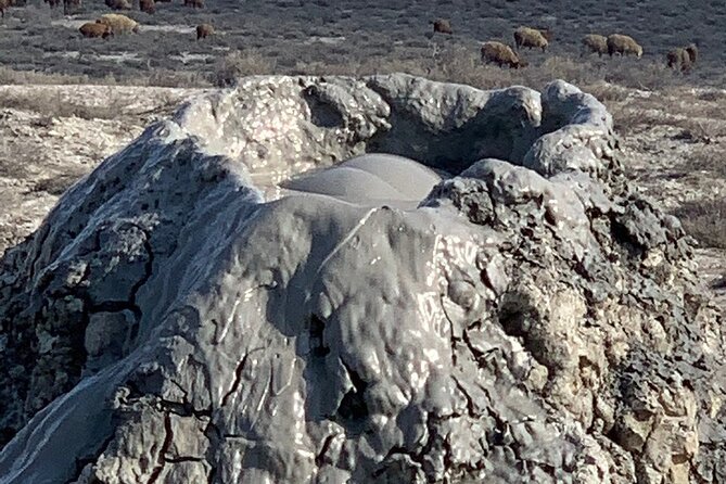 Mud Volcanoes & Gobustan Private Tour - Who should book this tour