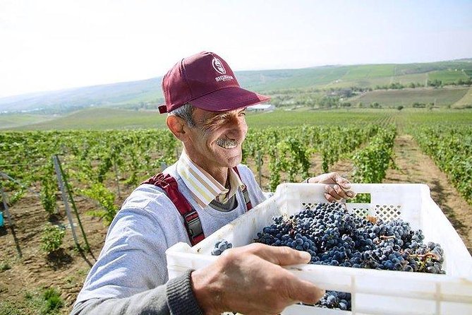 Organic Wine Tour Shamakhi with Local Lunch - Nasimi as your guide