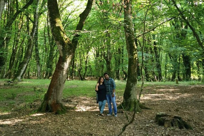 Private Gabala Tour (Full-Day Tour) - Timing, comfort, and practical planning
