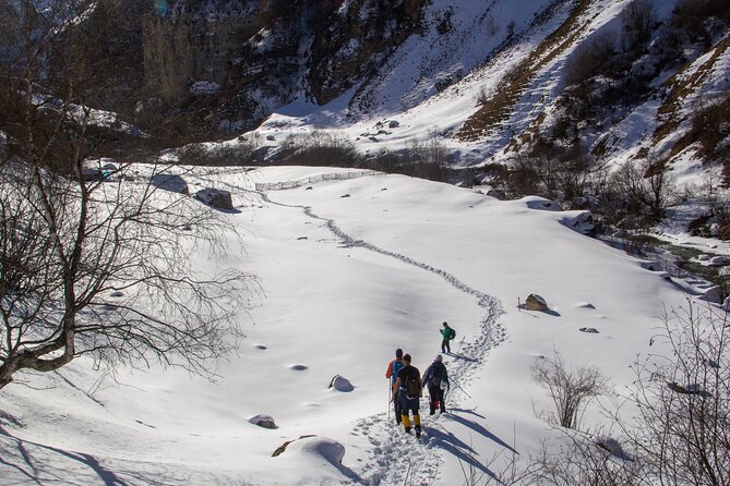 Private Hike through Magic Valley to Laza waterfalls - The climb from Kuzun through young forest