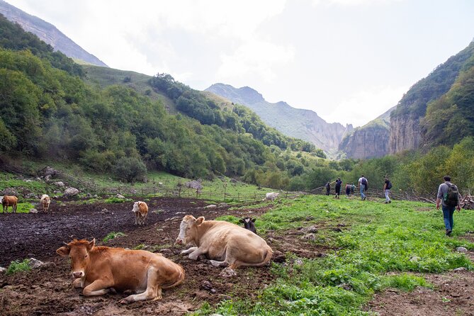 Private Hike through Magic Valley to Laza waterfalls - Laza village and a proper local dinner
