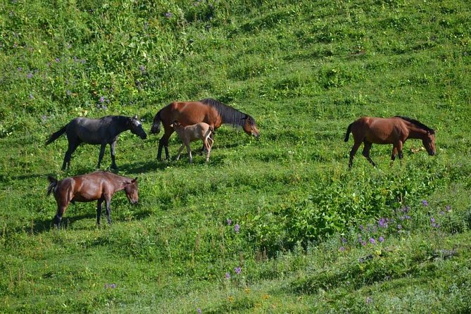 Relaxable and Knowledgeable 9 days Tour in Azerbaijan - Key points at a glance