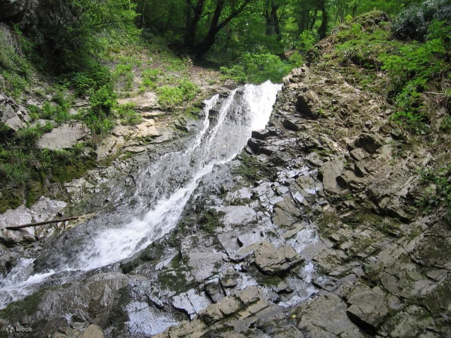 Shamakhi and Gabala Guided Day Tour - Diri-Baba Mausoleum and the mystery of the rock