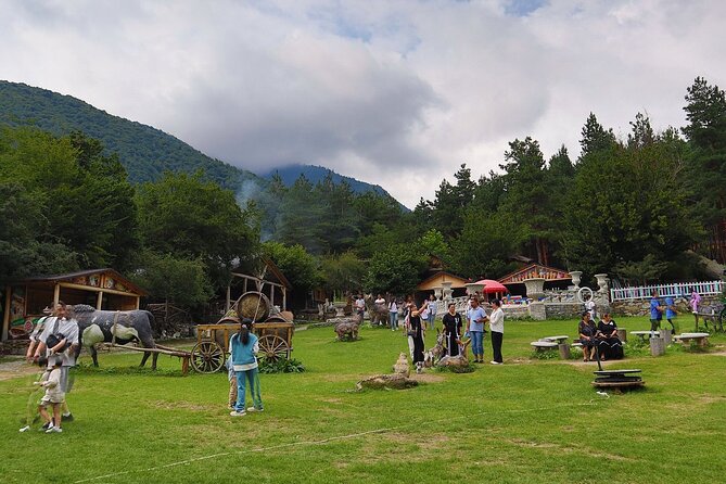 Sheki Cultural and Historical Shared Tour - Four hours for Xanland, food, and free time