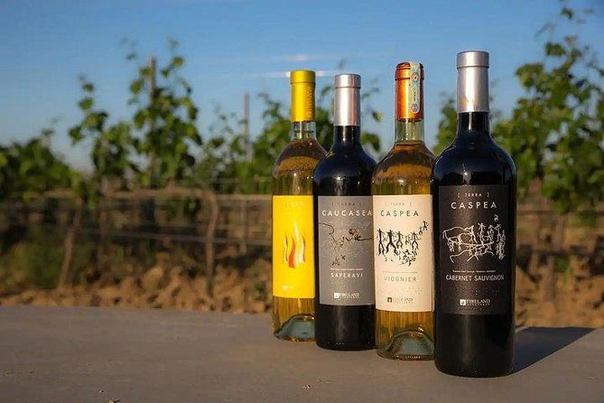 Wine Tour Baku - What the guides add to the visit