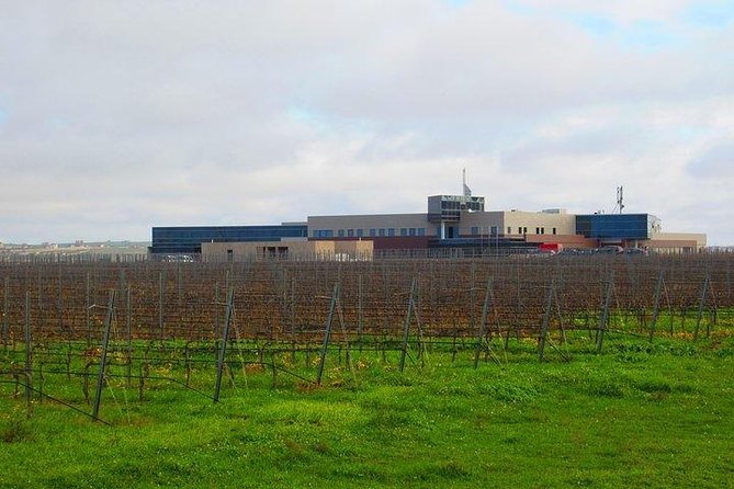 Wine Tour Baku - Who will enjoy this Baku wine tour