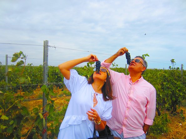 Wine Tour Baku - Six to eight wines at the tasting table
