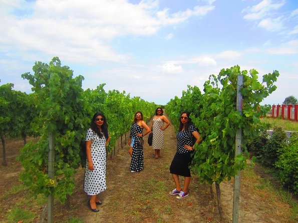Wine Tour Qabala with Local Lunch - Private transport makes the long day easier